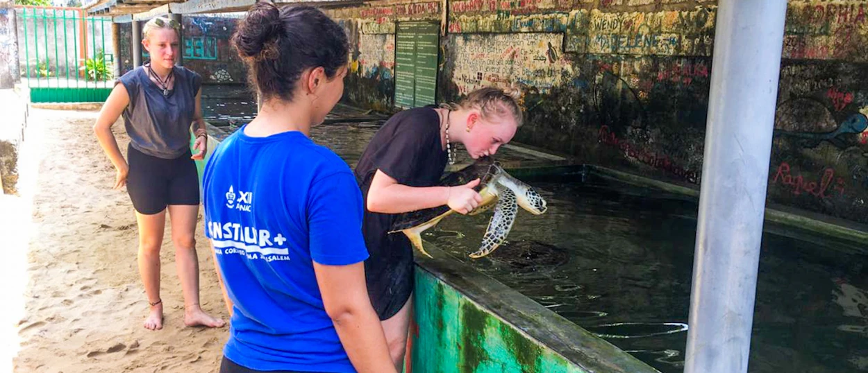 Young women participate in turtle conservation, gently holding a sea turtle at a sanctuary in Sri Lanka.